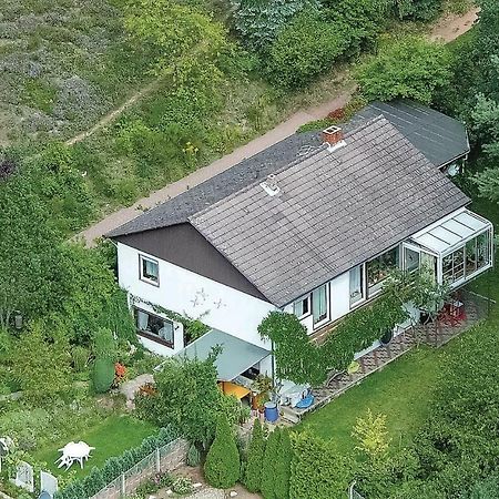 Amazing Apartment In Hinterweidenthal With Wifi Luaran gambar